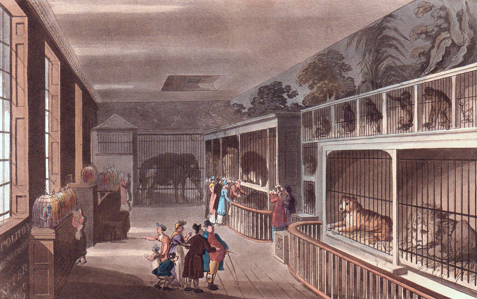 The Quizzing Blog: A Leopard in the Orangery – Regency Britain’s Exotic Pet Problem
